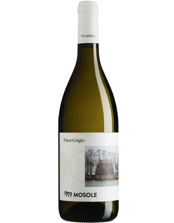 Pinot grigio