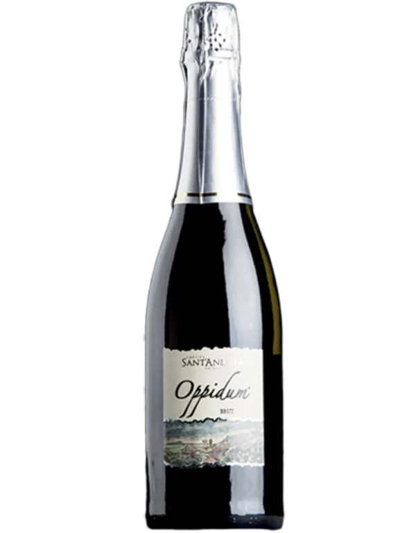 Oppidum brut