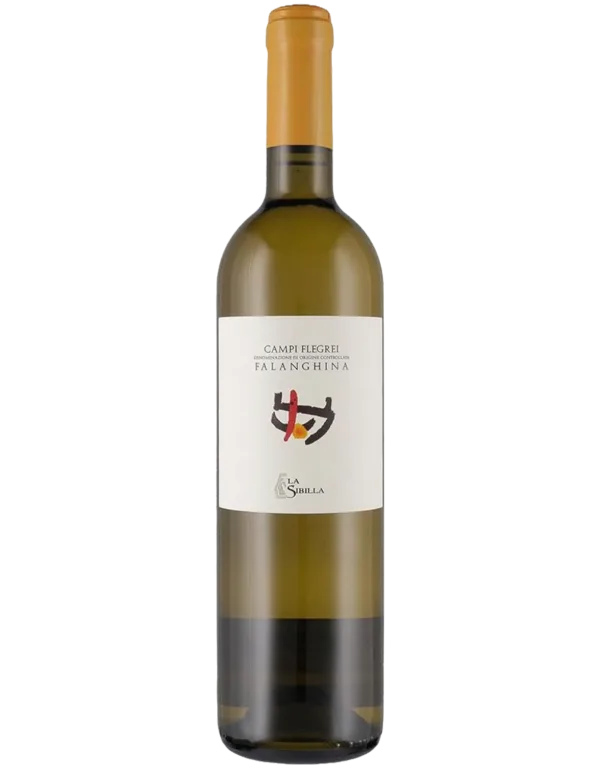 Falanghina Campi Flegrei DOC
