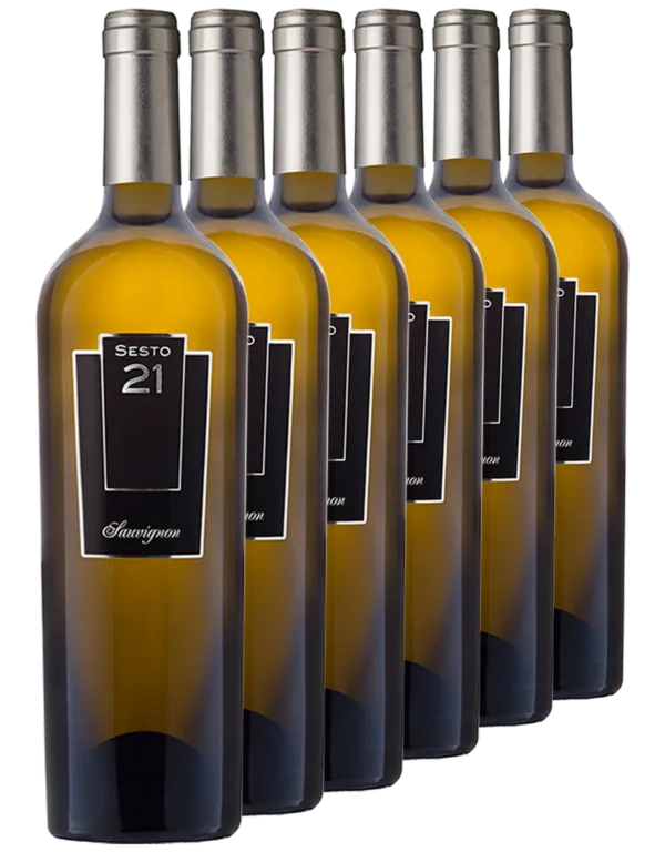 Sesto 21 Sauvignon Blanc 6 bottiglie