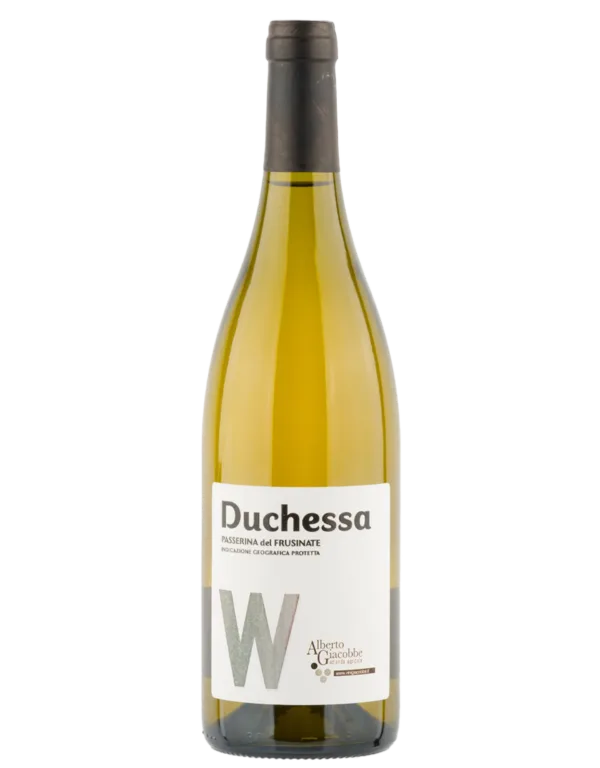 Duchessa