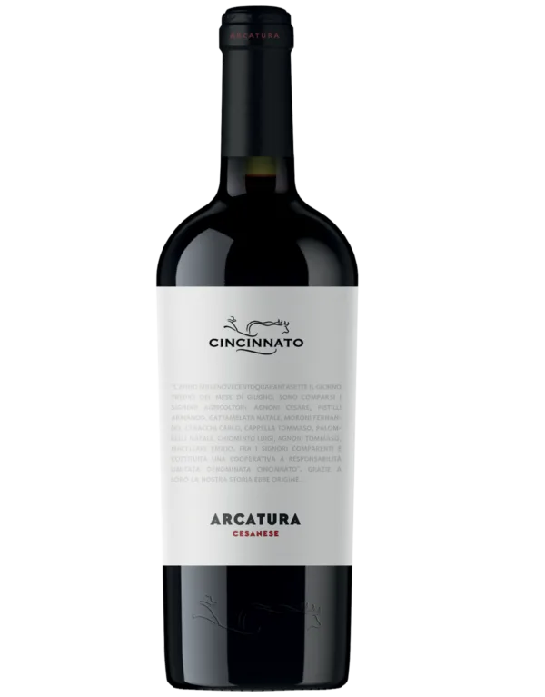 Arcatura