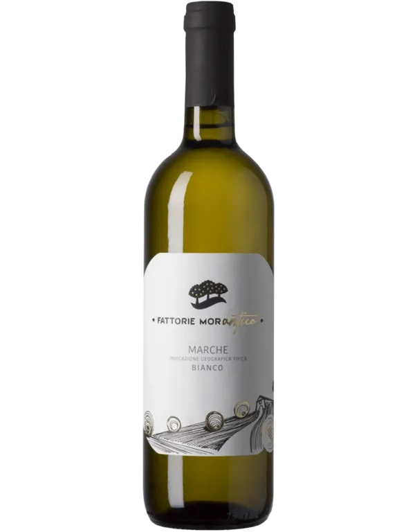 Marche Bianco Fattorie Morantico