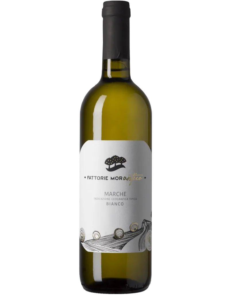 Marche Bianco Fattorie Morantico