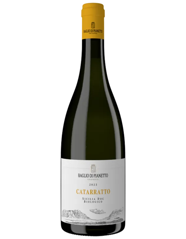 Catarratto
