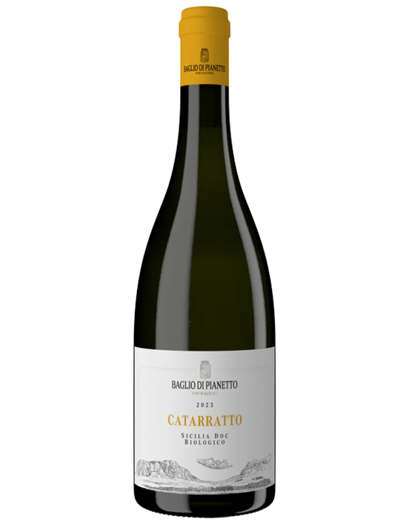 Catarratto