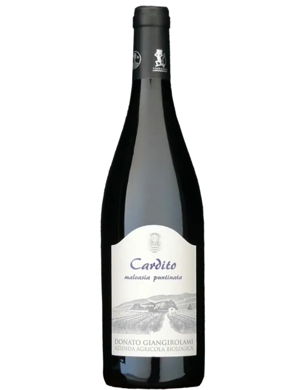 Cardito