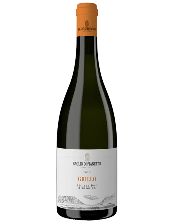 Grillo