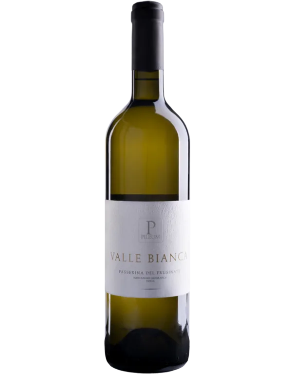 Valle bianca
