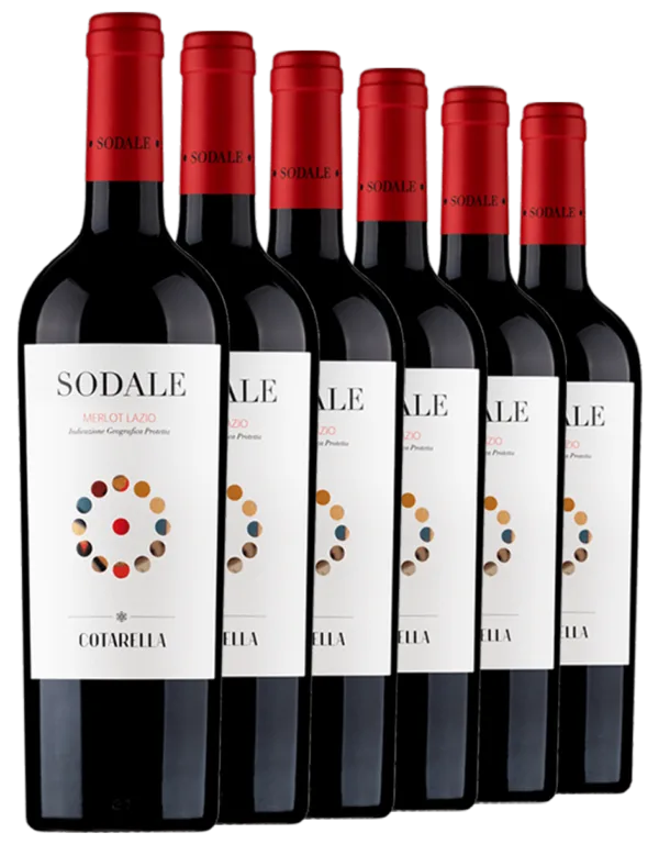 Sodale 6 bottiglie