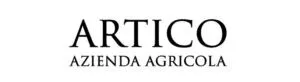 Artico