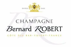 Bernard Robert