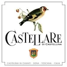 Castellare di Castellina