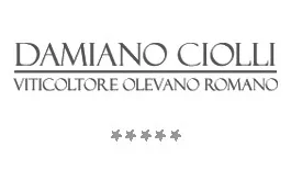 Damiano Ciolli