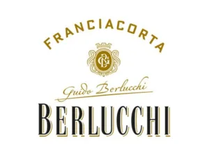 Guido Berlucchi