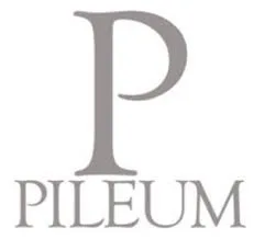 Pileum