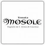Tenuta Mosole